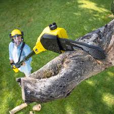Best Tree Health Inspection  in Greenwood Lake, NY