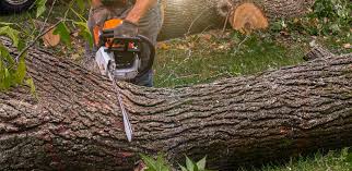 Best Aeration Services  in Greenwood Lake, NY