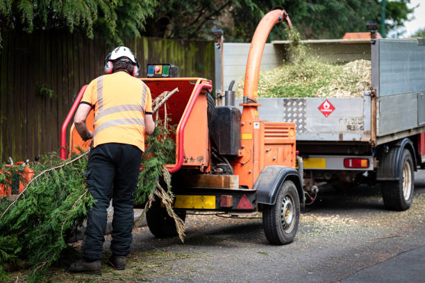 Best Lawn Renovation and Restoration  in Greenwood Lake, NY