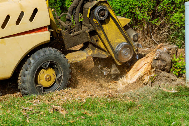 Best Grass Overseeding  in Greenwood Lake, NY