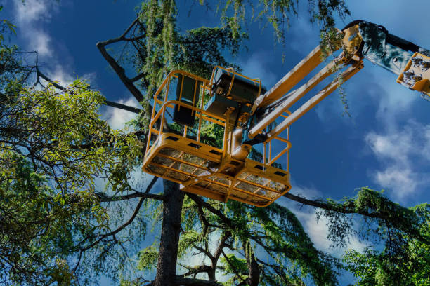 Mulching Services in Greenwood Lake, NY