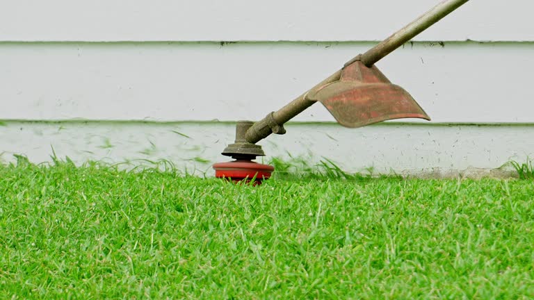 Best Lawn Pest Prevention  in Greenwood Lake, NY